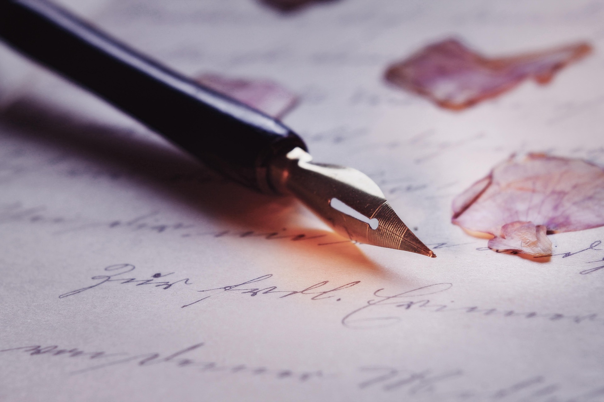 Police d'Écriture Typographique Premium